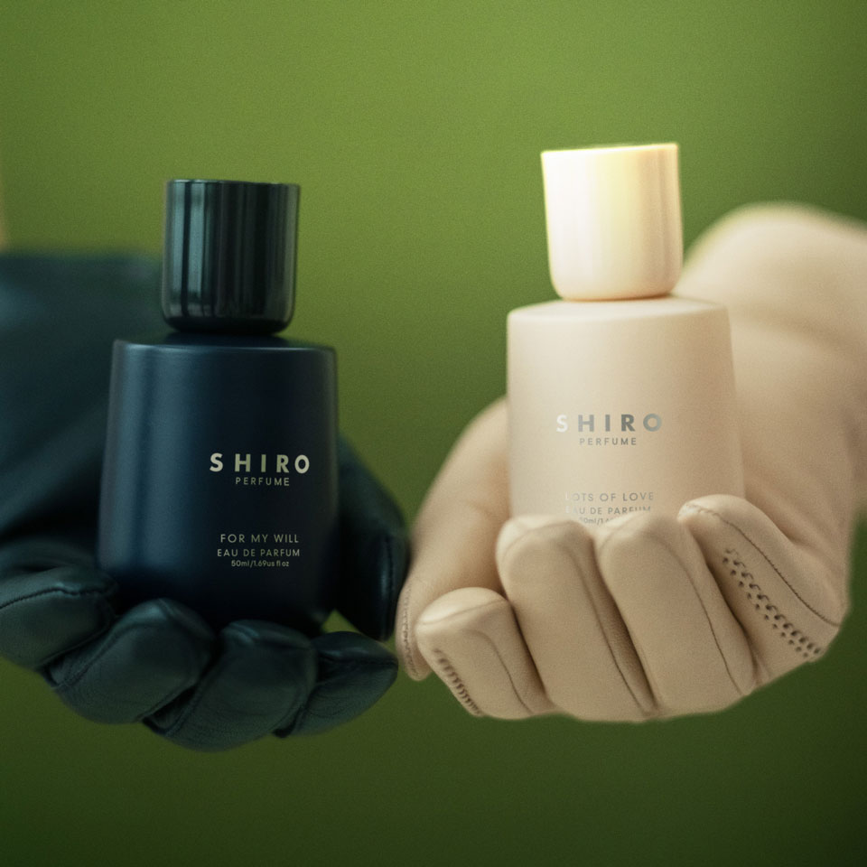 SHIRO HOLIDAY 2025LOTS OF LOVE / FOR MY WILL