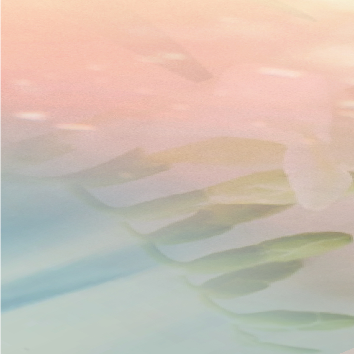 生まれたての香りに名前を付ける「香りの名付け親プロジェクト」を開催いたします