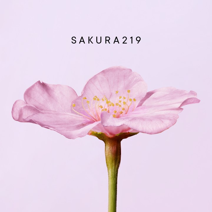 伊勢丹新宿店期間限定プロモーション開催中/先行＆生産数量限定商品発売のお知らせ(12/25-31)