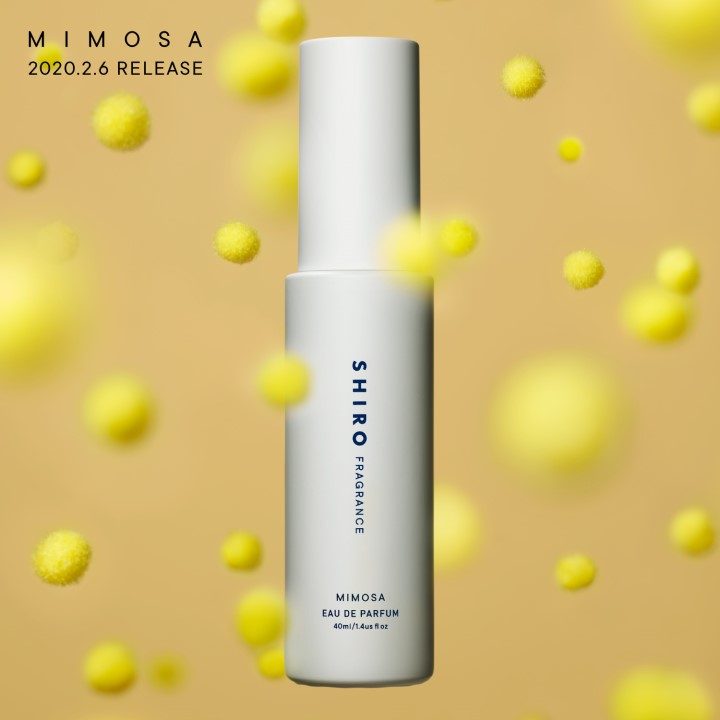 数量限定ミモザ