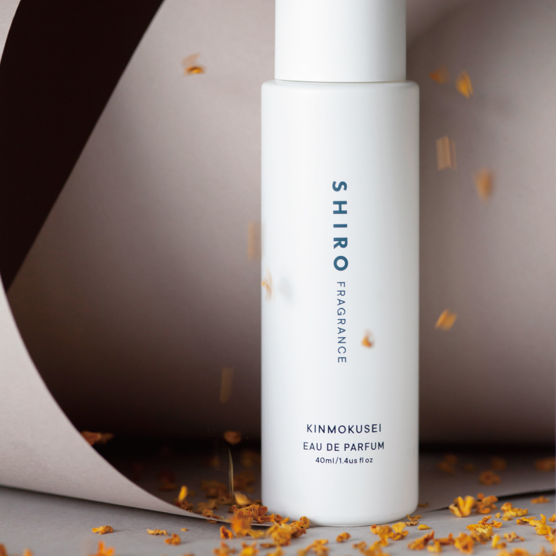 秋の訪れを告げる香り　キンモクセイ＜数量/オンライン限定＞