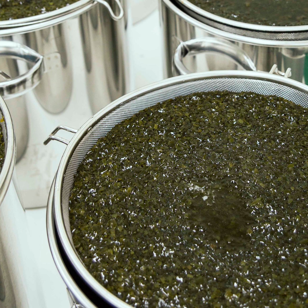 SHIROのものづくりのスタート素材の話