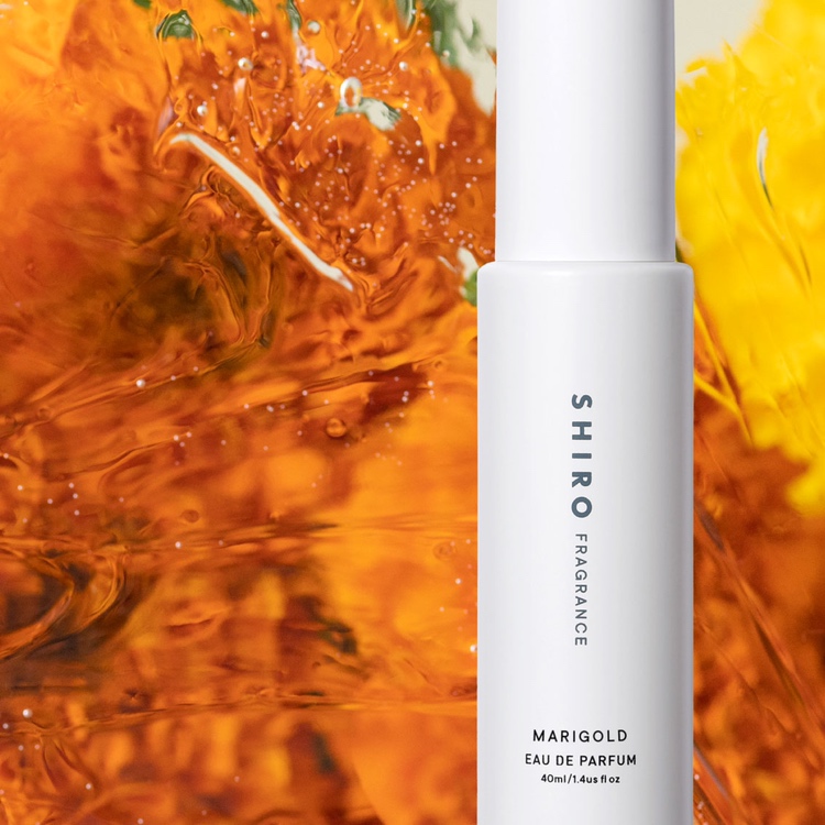 太陽のように花びらを広げるマリーゴールド フレッシュな柑橘と、フローラルの香りが夏を包み込む