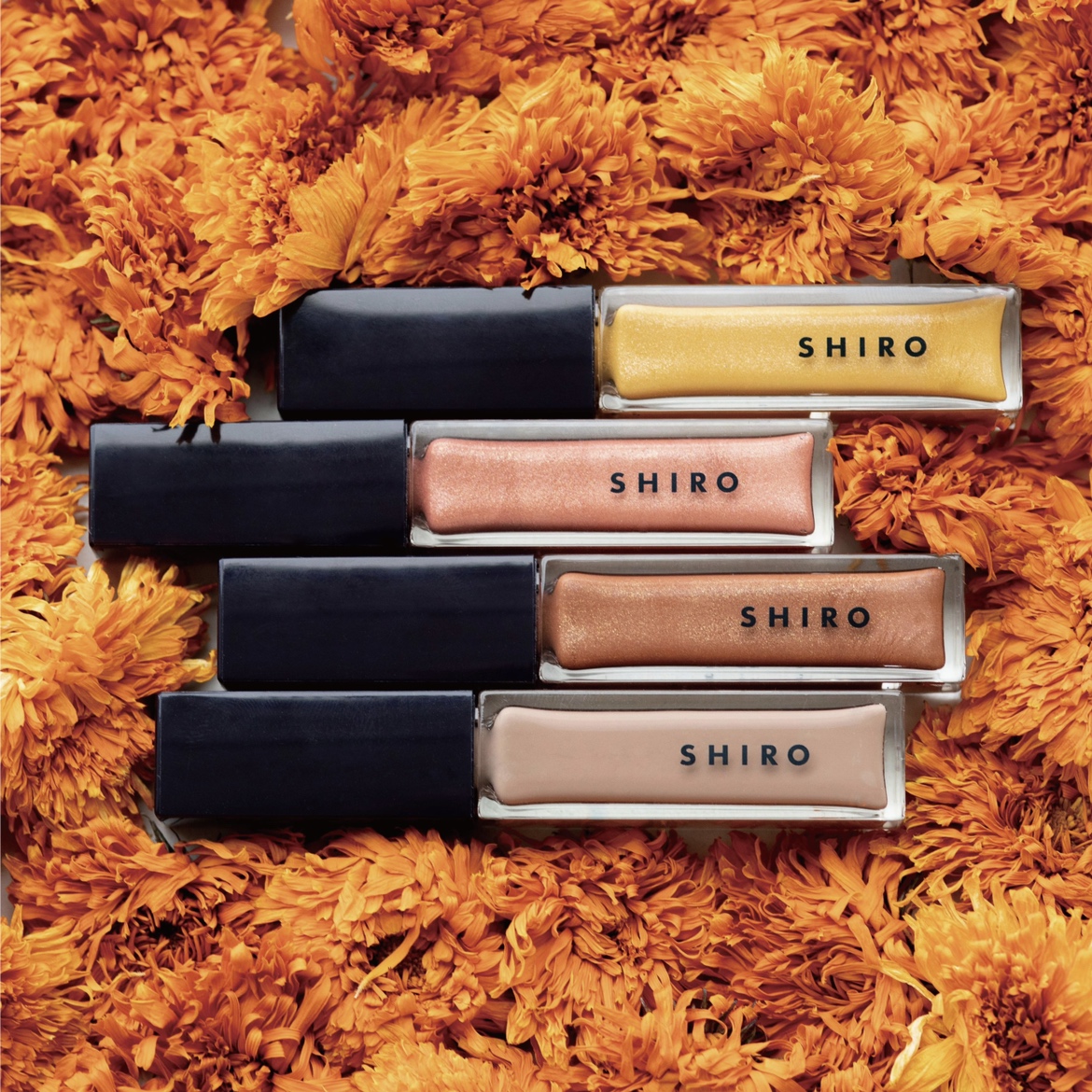 変化を楽しむきっかけを作りたい