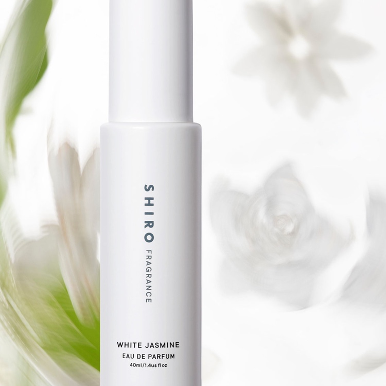 みずみずしく、優雅に咲く『ジャスミン』季節の移ろいを心落ち着く上品で甘い香りとともに