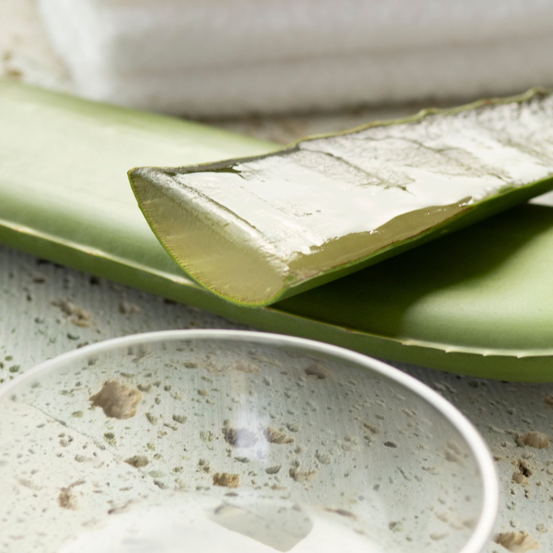 「SHIRO BEAUTY」にて、夏季限定メニュー『夏肌リセットフェイシャル＆頭皮ケアヘッドスパ』がスタート