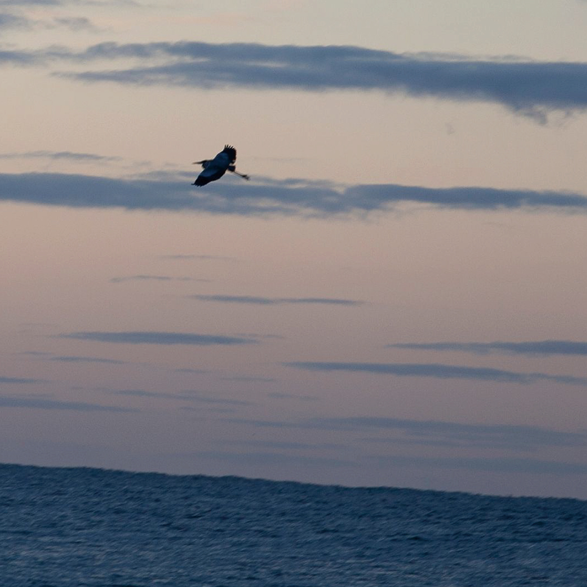 無駄なことはひとつもない