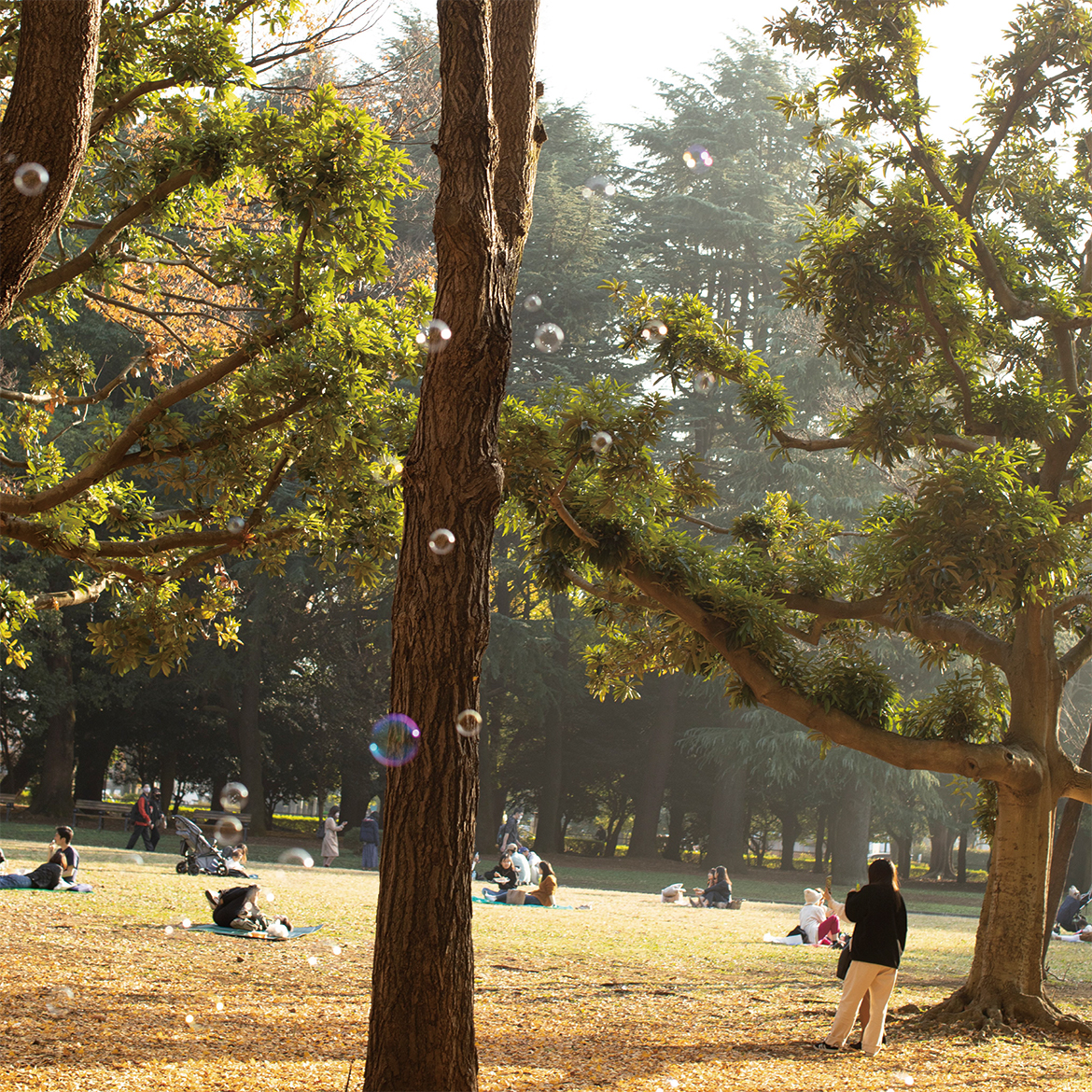 みんなが主役でつくる、輝く未来