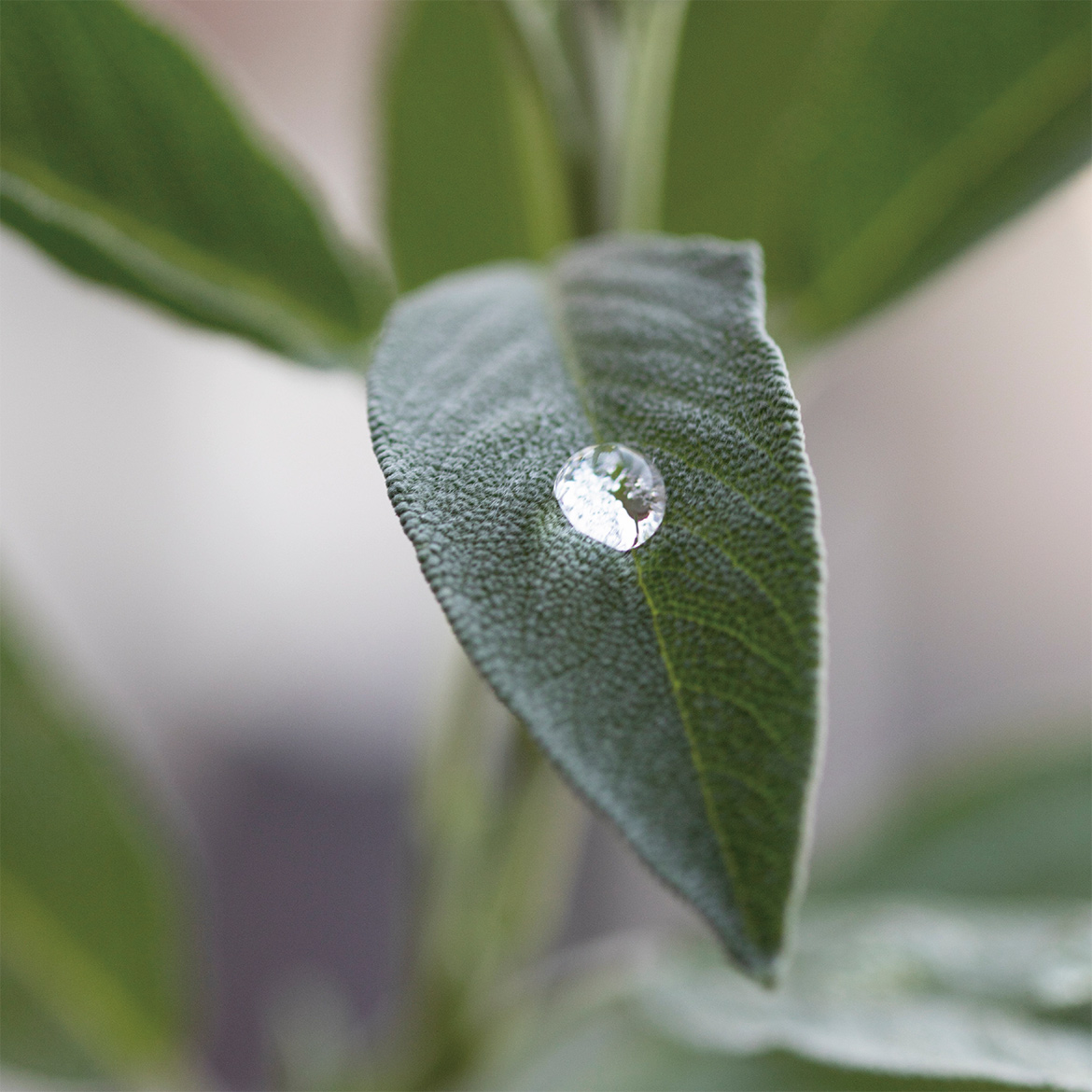 未来をつくる ひとつひとつの選択