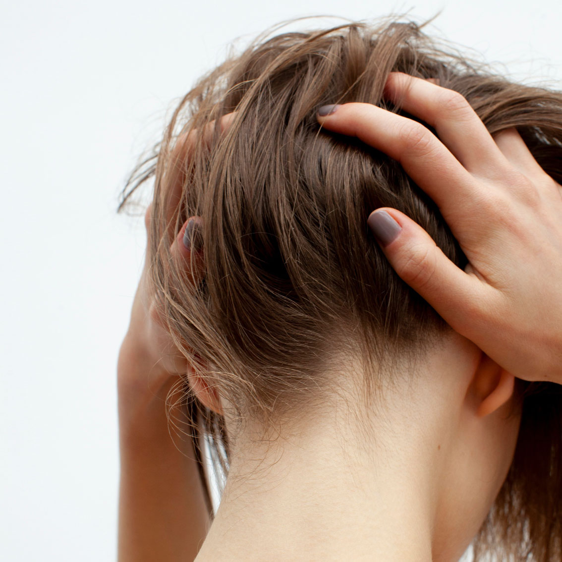 9/21(火)より、SHIRO BEAUTY にて『髪質&頭皮ケア ヘッドスパ』メニューをリニューアル