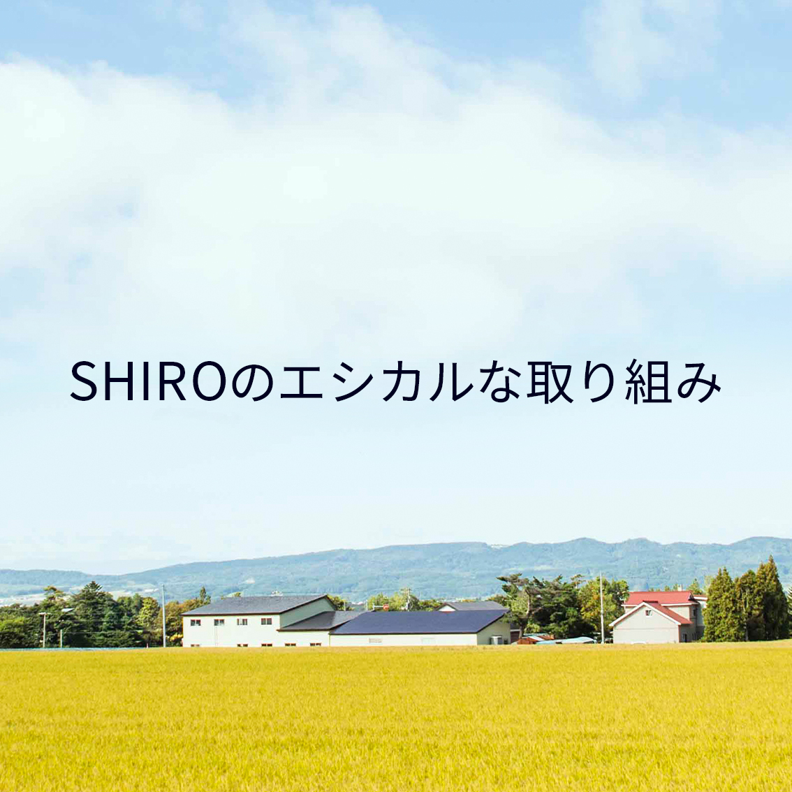 エシカル発想での取り組みを本格化する『シロ エコシステム』開始のお知らせ
