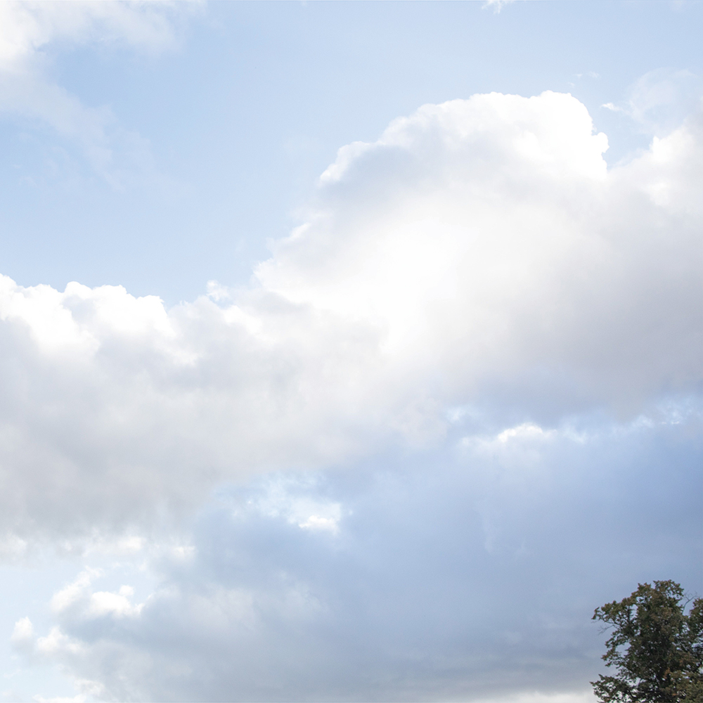 人を支え、実現する先 SHIROへの想い