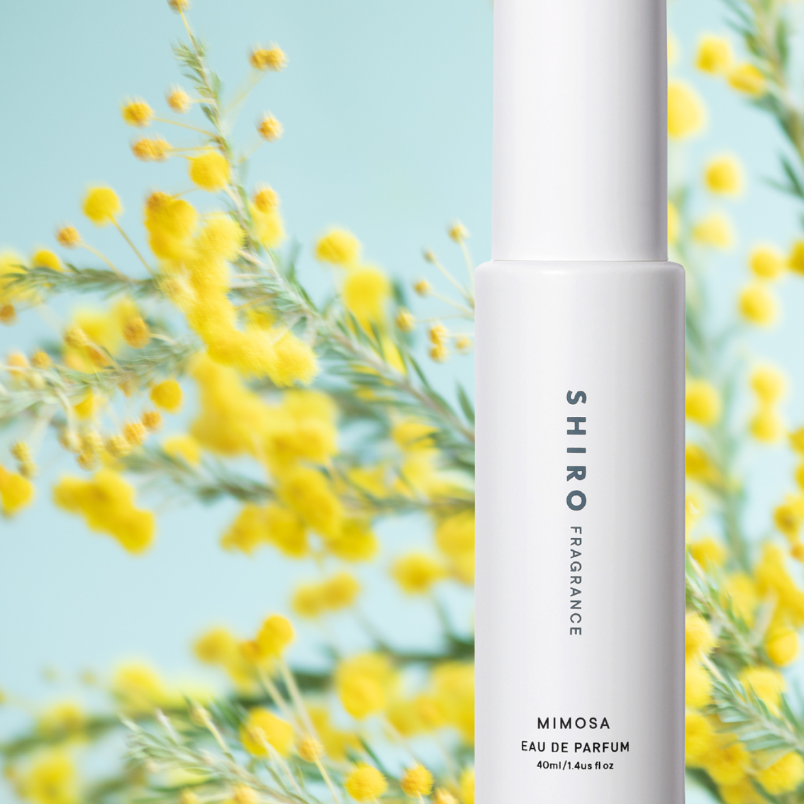 みずみずしいグリーンフローラルの香りにのせて春の訪れを知らせるミモザとともに毎日を