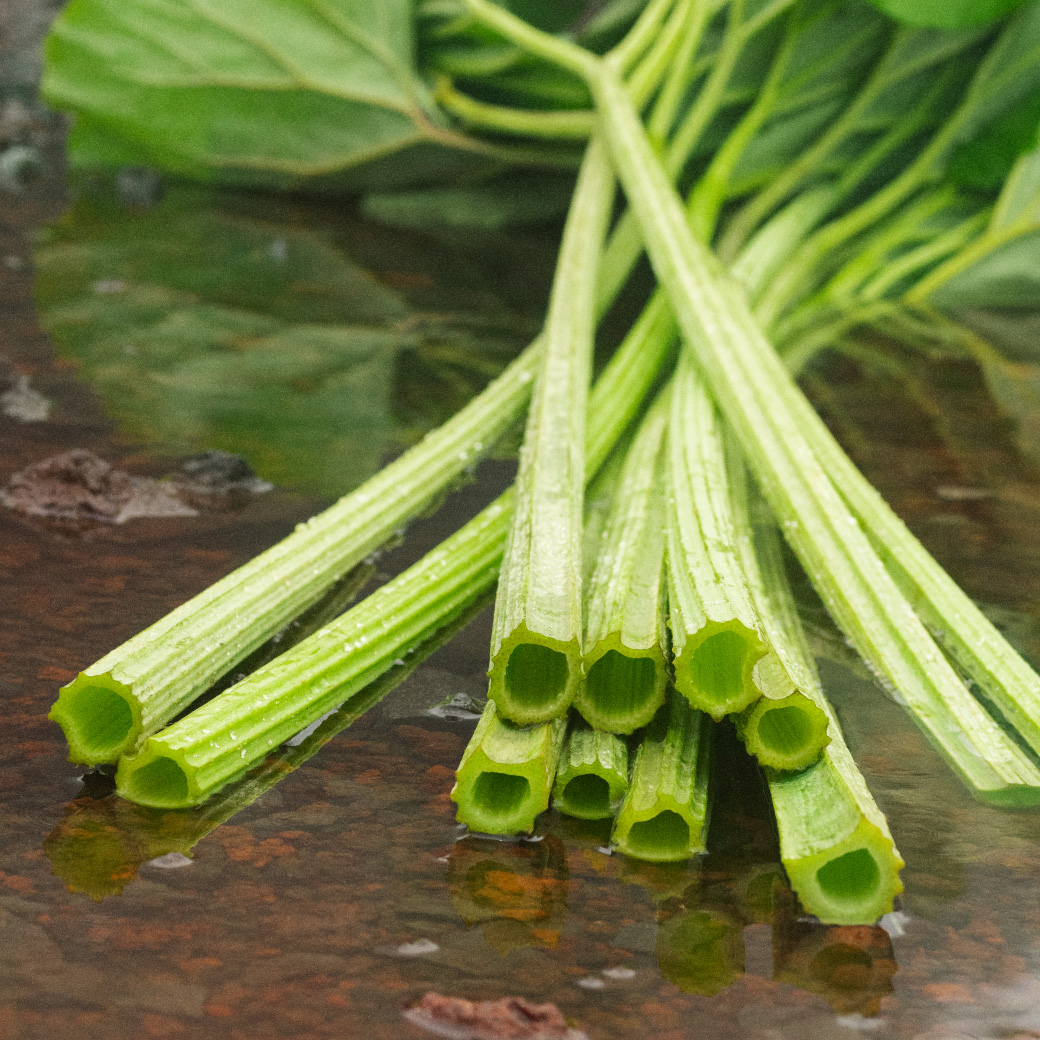 豊かなふきの香りに包まれる『ラワンぶき 2024』が旬シリーズに登場