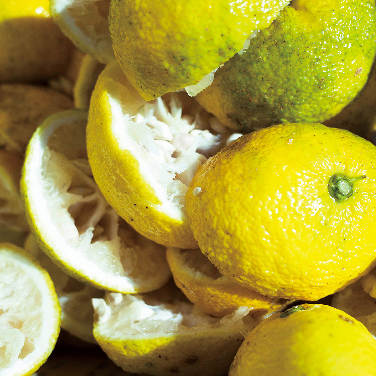 精油の配合量を7倍に高めた、リッチなフェイスミストが登場かつてないほど香り高い、旬シリーズ「ゆず 2024」