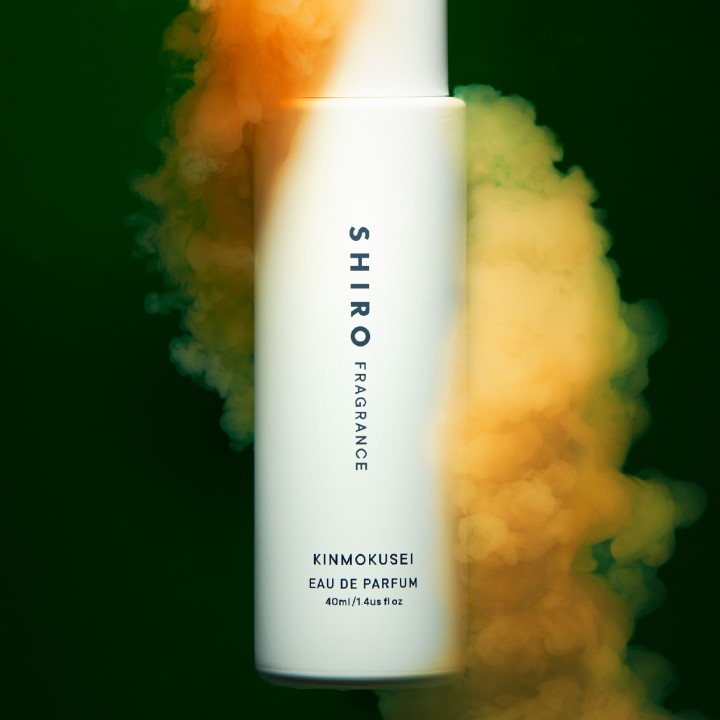 上品な甘さが華やかに香るキンモクセイ