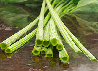 ラワンぶき画像