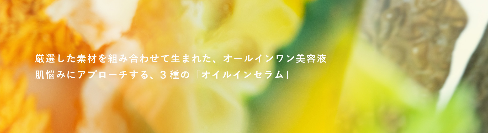 【限定】オイルインセラム