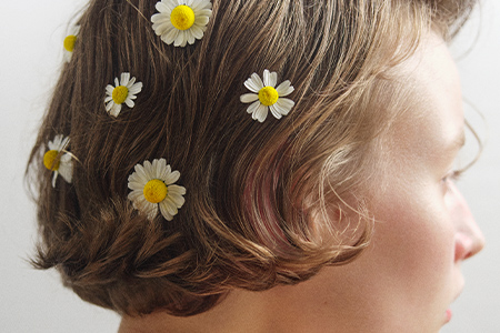 フリージア ミスト