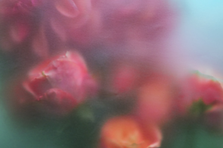 パリジェンヌ フェイヴァリット